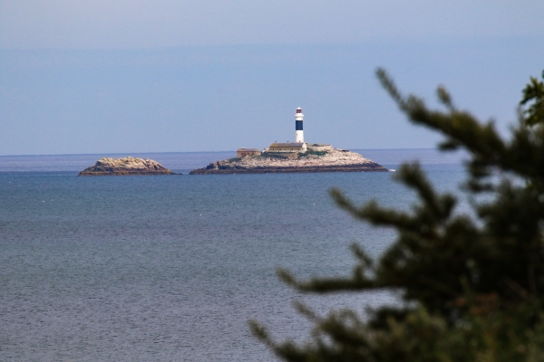 Rockabill Island Dublin