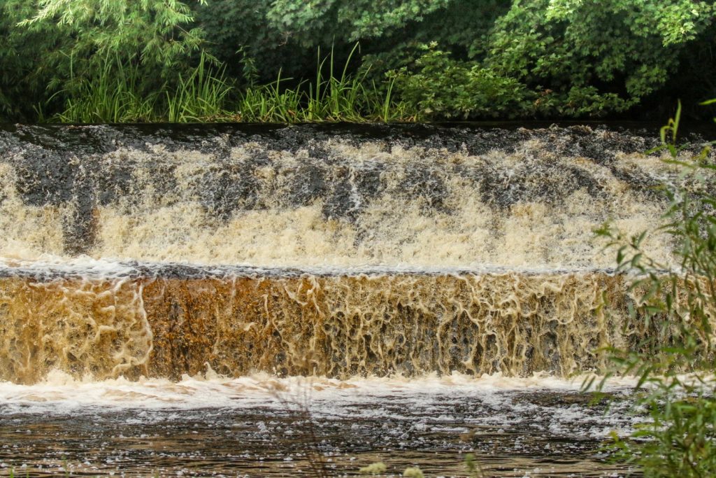 Dodder River Dublin