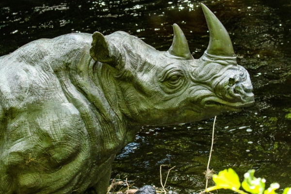 A Sculpture of a Rino in the middles of the Dodder River, Dublin