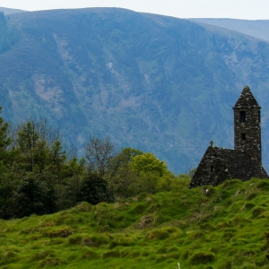 Bird watching glendalough