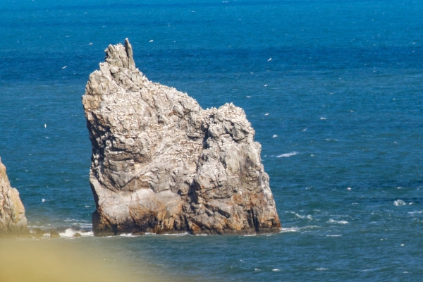 Rocky outcrop known as the Stack, seen from Howth Harbour