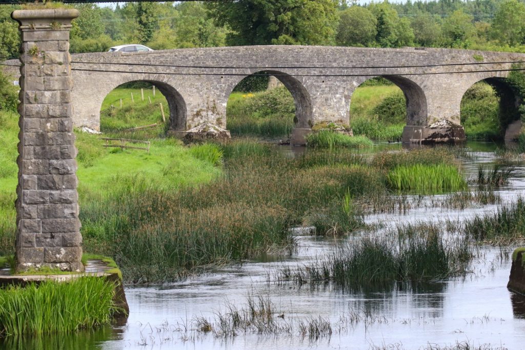 bird watching kildare ireland