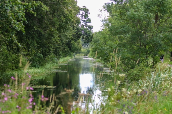 a view of the royal canal dublin near the 12th lock
