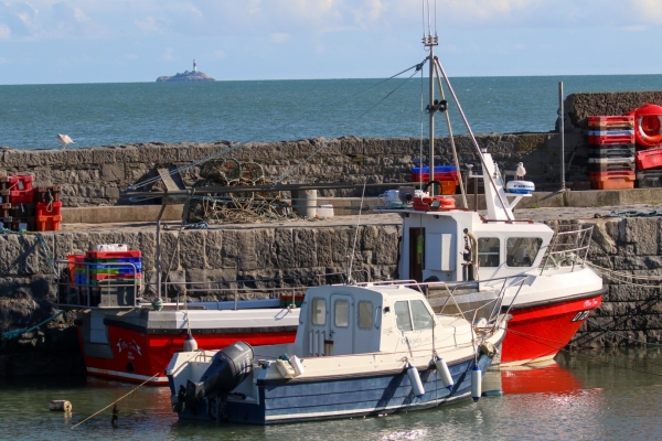 Boats tied up at Rush Harbour with Rockabill Island in the background